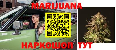 индика Ливны