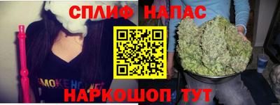 индика Ливны
