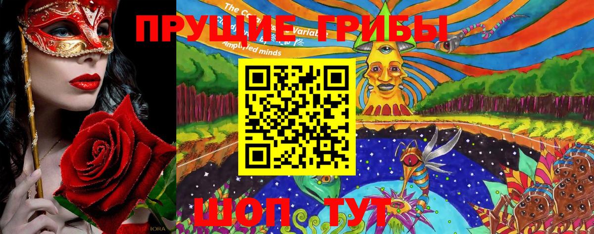 Псилоцибиновые грибы Psilocybe Димитровград